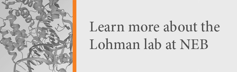 Learn more about the Lohman Lab at NEB